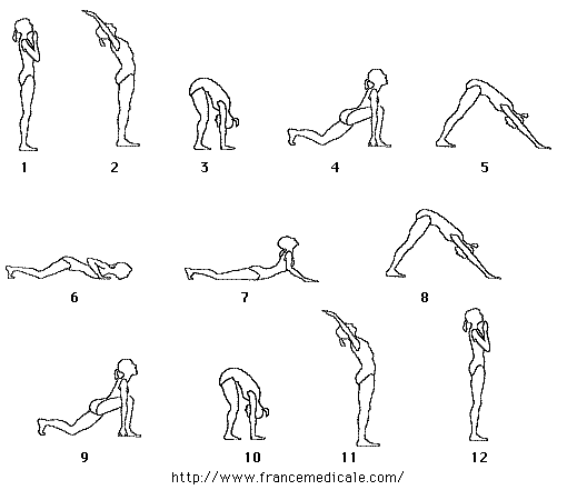 Serie de 12 postures yoga appelée La Salutation au soleil